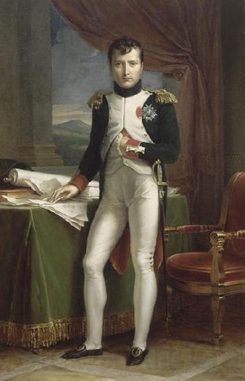 Francois Pascal Simon Gerard Portrait de Napoleon Ier en uniforme de colonel des grenadiers a pied de la Garde Spain oil painting art